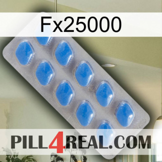 Fx25000 22